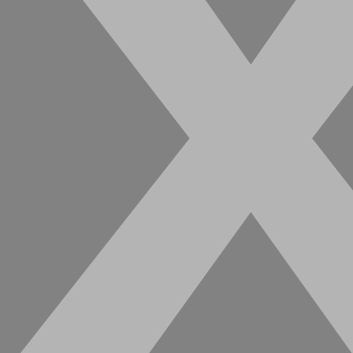 Logo_Projekt X